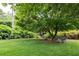 Spacious backyard showcases a relaxing seating area under a large tree, perfect for outdoor gatherings at 2795 Peachtree Ne Rd # 2101, Atlanta, GA 30305