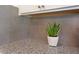 Close-up of the beautiful granite countertop and backsplash featuring a small decorative plant at 4255 Sunflower Cir, Cumming, GA 30040
