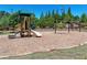 A fun playground area with slide, swings and climbing features, surrounded by lush greenery and shade trees at 4255 Sunflower Cir, Cumming, GA 30040