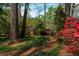 Tranquil backyard oasis with mature trees, colorful blooms, and lush greenery at 6795 Brandon Mill Rd, Atlanta, GA 30328