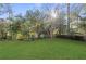 Lush, green backyard with mature trees and landscaping, perfect for outdoor activities at 2378 Green Forrest Dr, Decatur, GA 30032