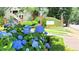 Beautiful community entrance with blue hydrangea bushes adding a splash of color to the landscape at 672 Mcgill Ne Pl # 672, Atlanta, GA 30312