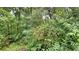 View of dense foliage and trees in the backyard providing privacy and a natural setting at 26 Nottingham Nw Dr, Cartersville, GA 30121