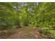 Lush green backyard space surrounded by mature trees, offering a private and natural setting at 1213 Fairwinds Dr, Loganville, GA 30052