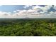 Distance view with blue skies over wooded area at 4717 Westhampton Dr, Tucker, GA 30084