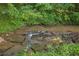 Small flowing creek with mossy rocks surrounded by vibrant green foliage at 4717 Westhampton Dr, Tucker, GA 30084