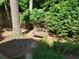Outdoor patio with an ornamental bench, surrounded by lush green landscaping at 3740 Ashford Ne Pt, Brookhaven, GA 30319