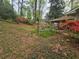 Lush backyard featuring vibrant azaleas and a gentle slope, creating a serene outdoor space at 2564 Wren Nw Ave, Duluth, GA 30096