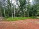 Spacious backyard with mature trees on an unfinished lot in a residential area at 3435 Dr Bramblett Rd, Cumming, GA 30028