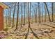 Landscaped backyard featuring a rock garden, mature trees, and natural beauty at 150 Gill Ln, Stockbridge, GA 30281
