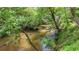 Creek featuring fallen branches runs through the property's mature trees at 150 Gill Ln, Stockbridge, GA 30281