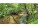 Peaceful creek with verdant trees offers a secluded and enchanting view at 150 Gill Ln, Stockbridge, GA 30281