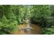 Scenic creek view surrounded by lush greenery, creating a serene natural setting at 150 Gill Ln, Stockbridge, GA 30281