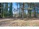 View of the spacious backyard with mature trees, offering privacy and a natural setting at 1887 King Charles Sw Rd, Atlanta, GA 30331