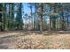 Home backyard with the pine straw on the ground at 1887 King Charles Sw Rd, Atlanta, GA 30331