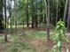 Wooded backyard featuring mature trees and privacy fence, perfect for nature lovers at 108 Fair Oaks Se Dr, Conyers, GA 30094