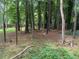 Image of wooded backyard with mature trees and privacy fence at 108 Fair Oaks Se Dr, Conyers, GA 30094