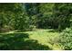 A verdant backyard filled with lush greenery, bushes, and trees creating a serene natural environment at 501 Textbook Ct, Lawrenceville, GA 30044