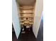 Walk-in pantry with ample shelving and plenty of storage space at 1305 Lake Forest Ln, Mcdonough, GA 30253