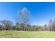 Home backyard showcasing large yard and mature shade tree at 689 Hardin Rd, Temple, GA 30179