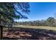 View of the surrounding land featuring fenced areas and mature trees under a blue sky at 689 Hardin Rd, Temple, GA 30179