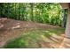 Expansive backyard with grassy areas and wooded perimeter providing privacy at 8145 Lakeview Pkwy, Villa Rica, GA 30180