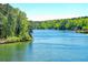 Scenic view of the expansive lake bordered by lush green trees at 8145 Lakeview Pkwy, Villa Rica, GA 30180