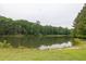 Enjoy the serene pond view with lush trees reflecting on the calm water's surface at 2101 Emerald Dr, Loganville, GA 30052