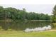 Scenic pond view surrounded by lush greenery, perfect for relaxation and nature enjoyment at 2101 Emerald Dr, Loganville, GA 30052