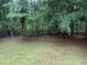 Lush green backyard surrounded by tall trees providing ample shade and privacy at 2523 Bronco Trl, Duluth, GA 30096