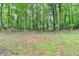 Large backyard with mature trees provides shade and privacy at 545 Woodrow Dr, Lawrenceville, GA 30043
