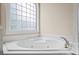 Luxurious soaking tub with jets and glass block window at 1253 Oakwood Pl, Loganville, GA 30052