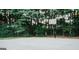 Private basketball court with full court lines surrounded by mature trees at 1090 Crown River Pkwy, Mcdonough, GA 30252