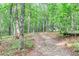 Picturesque wooded lot with a long, winding path leading through towering trees and lush greenery at 408 Gray Fox Dr, Canton, GA 30114