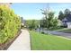 Scenic street view showcasing lush green lawns, sidewalks, and well-maintained landscaping at 6570 Canyon Cv, Cumming, GA 30028
