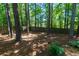 Secluded backyard with mature trees, a wooden fence, and lush foliage for added privacy and serenity at 2015 Towne Lake W Hls, Woodstock, GA 30189