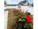 An in-ground pool is surrounded by an expansive patio, with blooming roses in the foreground that add a touch of natural beauty at 2002 Freestone Way, Marietta, GA 30064