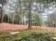 Natural backyard featuring a lush forest and a gentle slope, evoking a sense of serenity at 3905 Merriweather Woods, Johns Creek, GA 30022