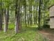 A lush backyard offers privacy with its beautiful and mature trees and verdant groundcover at 10320 Crescent Ridge Dr, Roswell, GA 30076