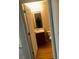 Bathroom view showing vanity, mirror, toilet, and hardwood floors at 1843 Grove Way, Hampton, GA 30228