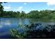 A serene lake view surrounded by green trees against a blue sky at 2814 Shellbark Rd, Decatur, GA 30035