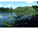 Picturesque lake view framed by branches and lush foliage, with the blue sky in the background at 2814 Shellbark Rd, Decatur, GA 30035