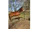 A beautiful brown horse stands in a fenced area near wooded trees at 2184 E Cherokee Dr, Woodstock, GA 30188
