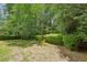 Well-maintained backyard with lush green grass, manicured bushes, surrounded by mature trees for total privacy and shade at 4070 Ridgehurst Se Dr, Smyrna, GA 30080