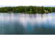 Expansive view of the tranquil lake, reflecting the sky, showcasing the serene and peaceful waterfront setting at 5200 Woodmont Dr, Villa Rica, GA 30180