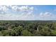 A scenic aerial view from atop the trees looking towards the city at 3287 Alton Rd, Atlanta, GA 30341