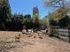 Exterior shot of the property with goats, turkeys, and other fowl roaming in the yard at 3809 Wieuca Ne Rd, Atlanta, GA 30342