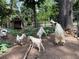 Goats, turkeys, and fowl meander in the leafy yard with shed at 3809 Wieuca Ne Rd, Atlanta, GA 30342