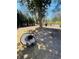 A turkey enjoys the yard with a tire swing in the background on a sunny day at 3809 Wieuca Ne Rd, Atlanta, GA 30342