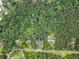 Aerial view of the neighborhood, showing the home's large lot and surrounding trees at 239 Berry Rd, Mcdonough, GA 30252